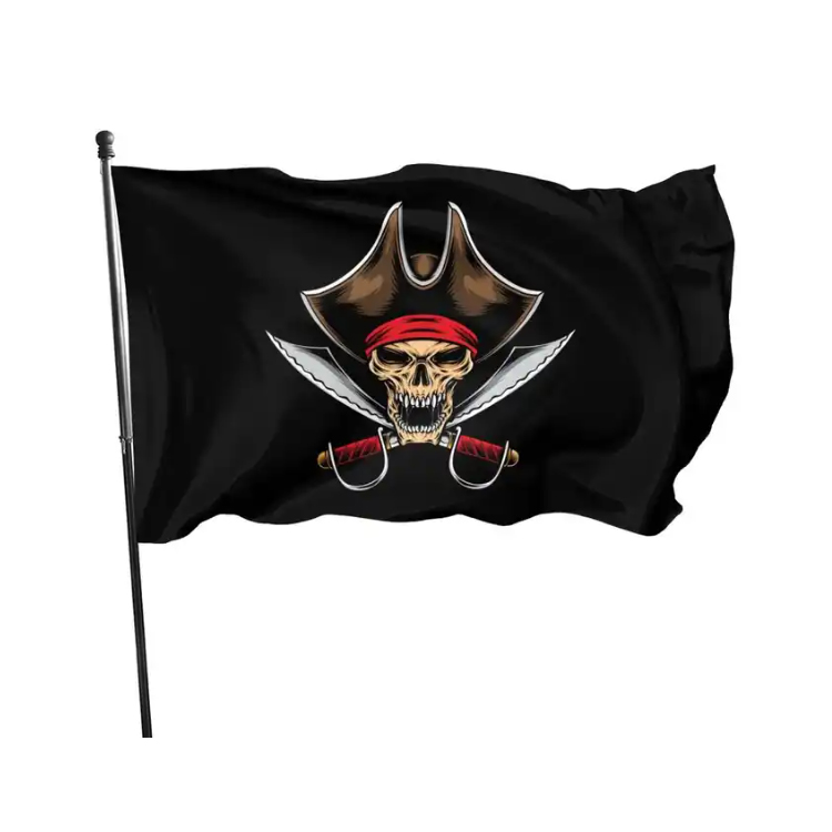 All Color Custom Flag Double Side Printing 100% Polyester Outdoor Flying Custom Flags And Banners